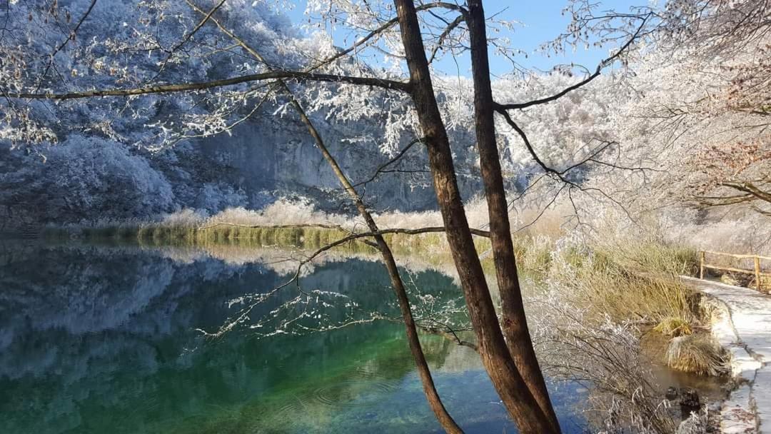 Plitvička JezeraPlitvice Storyアパートメント エクステリア 写真